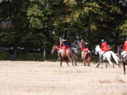IMG_8509_web